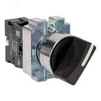 Переключатель BD21 2P короткая ручка NO EKF - foto